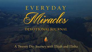 Everyday Miracles: 20 Day Journey With Elijah And Elisha II Kings 1:9-17 New King James Version
