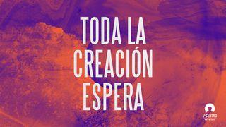 Toda la creación espera Jeremías 9:23-24 Nueva Versión Internacional - Español