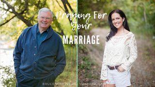 Praying For Your Marriage Romans 8:28 Amplified Bible, Classic Edition