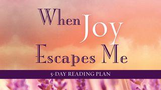 When Joy Escapes Me By Nina Smit 1 Thessalonians 5:11 New Living Translation