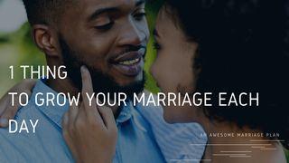 One Thing to Grow Your Marriage Each Day Proverbs 18:22 Amplified Bible, Classic Edition