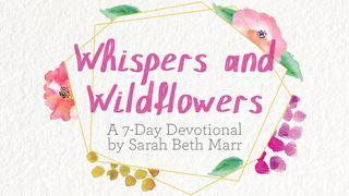 Whispers And Wildflowers By Sarah Beth Marr Psalms 57:8 New International Version