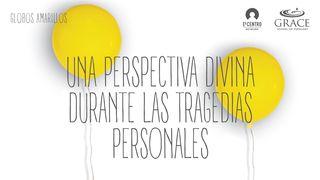 Una perspectiva divina durante las tragedias personales  2 CORINTIOS 4:18 La Palabra (versión española)