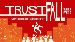 Everything For Life And Godliness - Trust Fall Series 2 Peter 1:3 New International Version