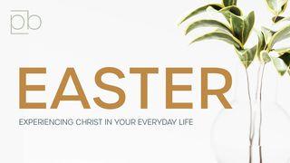 Easter | Experiencing Christ in Everyday Life by Pete Briscoe Mark 14:67 English Standard Version 2016