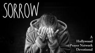Hollywood Prayer Network On Sorrow Lamentations 3:31-33 New International Version