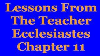 Wisdom Of The Teacher For College Students, Ch. 11 Ecclesiastes 11:1-10 New International Version