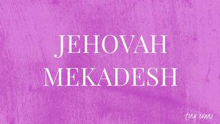 Jehovah Mekadesh Hebrews 12:14-17 King James Version