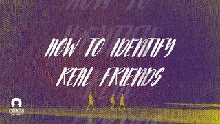 How To Identify Real Friends Proverbs 17:17 New Living Translation