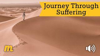 Journey Through Suffering 1 Thessalonians 5:11 New Living Translation