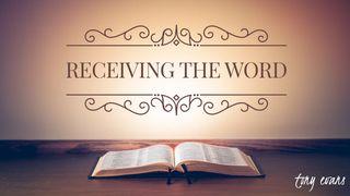 Receiving The Word Matthew 4:4 New Living Translation