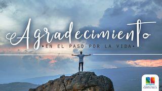 Agradecimiento Salmo 103:10-11 Nueva Versión Internacional - Español