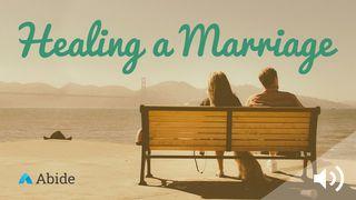 Healing A Marriage Song of Songs 2:15 New Living Translation