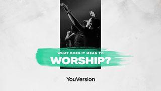 What Does It Mean To Worship? 1 Chronicles 16:23-31 New International Version