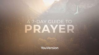A 7-Day Guide To Prayer Isaiah 40:8 New Living Translation