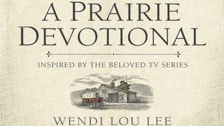 5 Days Of Navigating Hard Times: A Prairie Devotional Psalms 56:3-4 New Living Translation