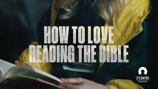 How To Love Reading The Bible  1 Timothy 4:13 New International Version