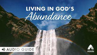 Living In God's Abundance Luke 6:38 New International Version