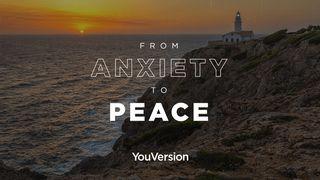 From Anxiety to Peace  Matthew 10:29-31 King James Version