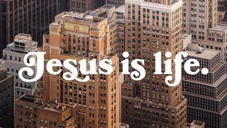 Jesus Is Life John 3:36 Holy Bible: Easy-to-Read Version