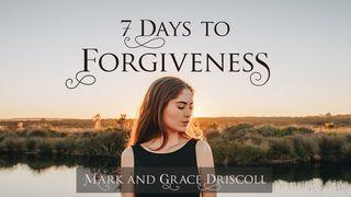 7 Days To Forgiveness Romans 2:1-29 New American Standard Bible - NASB