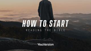 How to Start Reading the Bible Ephesians 6:17 New International Version