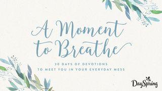 A Moment To Breathe: Find Rest In The Mess Job 31:32 New King James Version