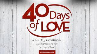 40 Days Of Love Proverbs 10:12 New King James Version