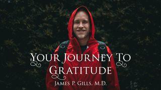 Your Journey To Gratitude Matthew 11:27-30 New International Version