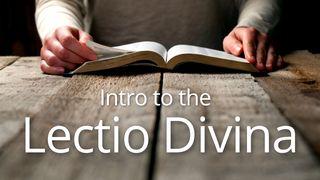 Intro To The Lectio Divina Proverbs 1:20-33 English Standard Version 2016