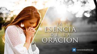La Esencia De La Oración JUAN 4:23-24 La Palabra (versión española)