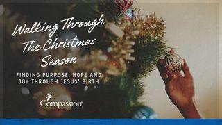 Finding Purpose, Hope and Joy Through Jesus’ Birth Psalms 98:1 New International Version
