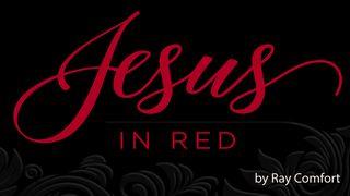 Jesus In Red Matthew 9:28-29 King James Version