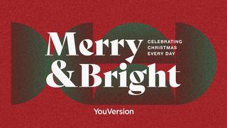 Merry & Bright: Celebrating Christmas Every Day Hebrews 3:13 Amplified Bible, Classic Edition