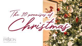 The 10 Promises of Christmas Mateo 19:28 Nueva Versión Internacional - Español