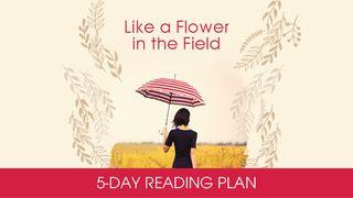 Like A Flower In The Field By Struik Christian Media Isaiah 43:4-5 English Standard Version 2016