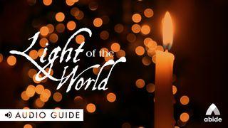 Light of the World John 3:36 King James Version, American Edition