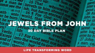 Jewels From John John 2:25 New Living Translation