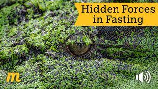 Hidden Forces in Fasting Matthew 6:1-8 New Living Translation