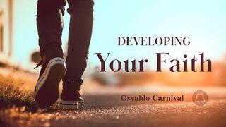 Developing Your Faith Hebrews 11:1 Amplified Bible