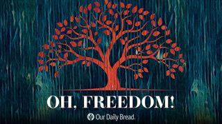 Oh, Freedom Psalms 118:22 New Living Translation