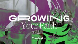 Growing Your Faith Hebrews 12:3 New King James Version