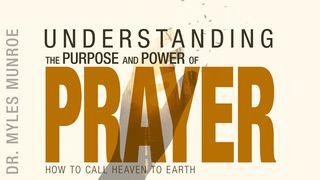 Understanding the Purpose and Power of Prayer Luke 17:6 English Standard Version 2016