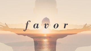 FAVOR Matthew 8:16-17 New International Version