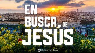  En busca de Jesús Juan 20:1 Nueva Versión Internacional - Español