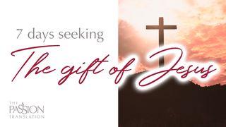 7 Days Seeking the Gift of Jesus إنجيل متى 37:27 كتاب الحياة