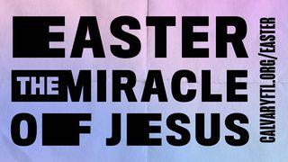 The Miracle of Easter Matthew 21:12-17 New International Version