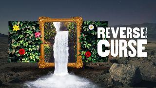 Reverse the Curse: How Jesus Moves Us From Death to Life Revelation 22:18-19 New King James Version