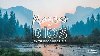 Promesas de Dios en tiempos de crisis 2 Pedro 1:4 Nueva Versión Internacional - Español