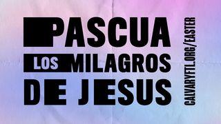 El Milagro de Pascua Lucas 23:56 Nueva Versión Internacional - Español
